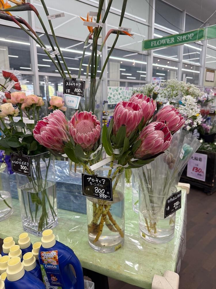 nico☺︎さんが投稿したジョイフル本田 千代田店に関する口コミの画像