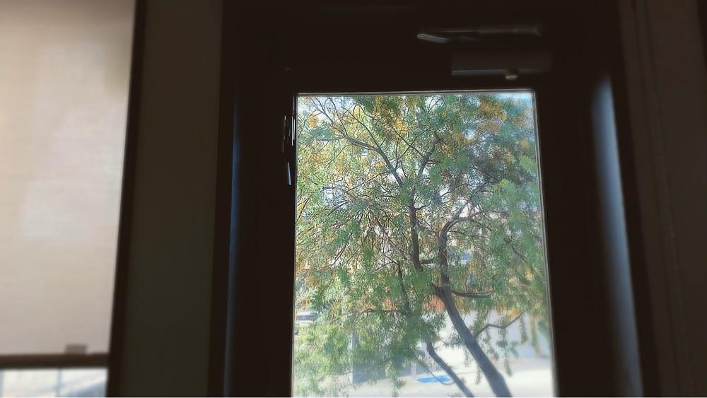 兎きち さんが投稿したコム シ コム サ（comme ci comme ca）に関する口コミの画像