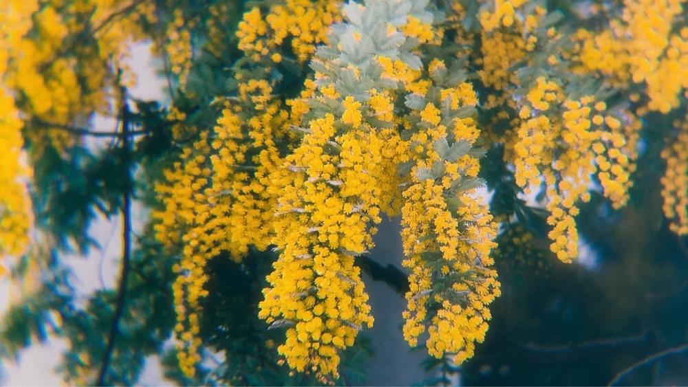 兎きち さんが投稿したコム シ コム サ（comme ci comme ca）に関する口コミの画像