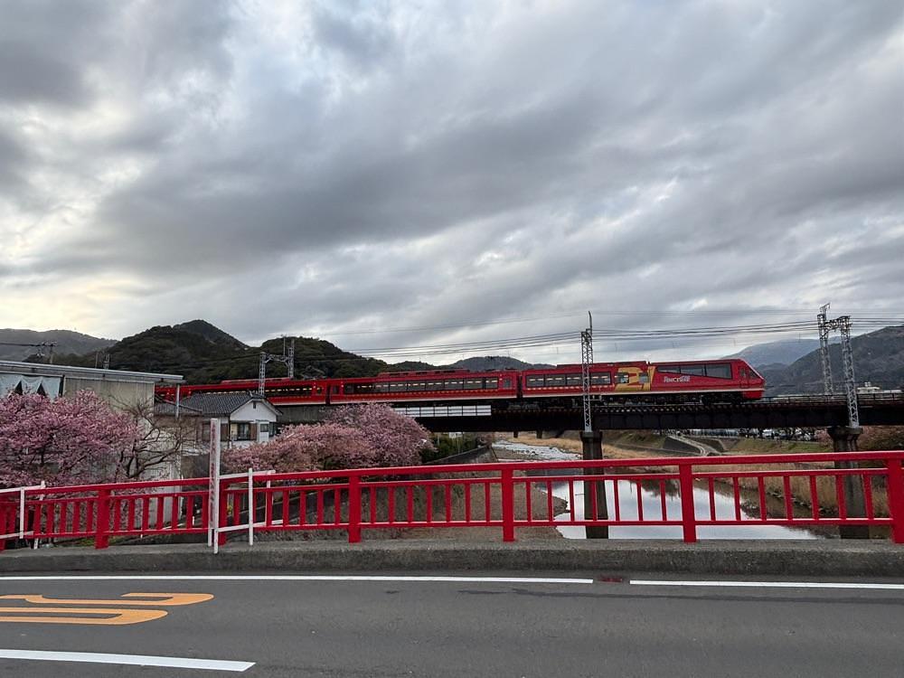 ぱっつんさんが投稿した河津桜まつりに関する口コミの画像