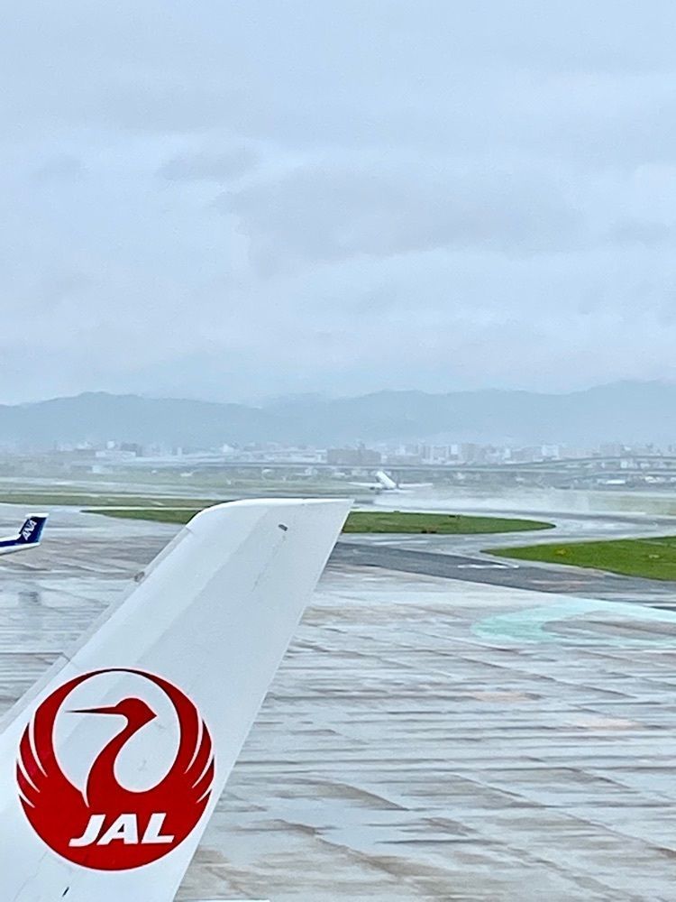 Rhapsodyさんが投稿したANA福岡空港ラウンジ南に関する口コミの画像