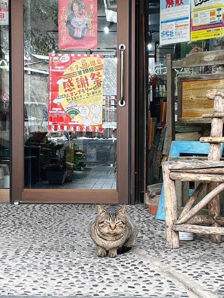 猫なぎ。さんが投稿した鳴子温泉郷に関する口コミの画像