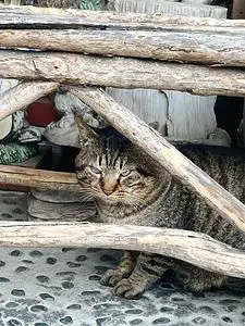 鳴子温泉郷 2枚目