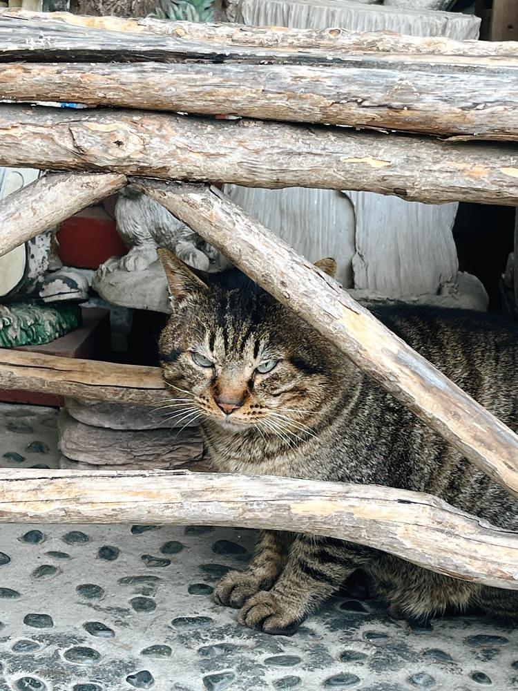 猫なぎ。さんが投稿した鳴子温泉郷に関する口コミの画像