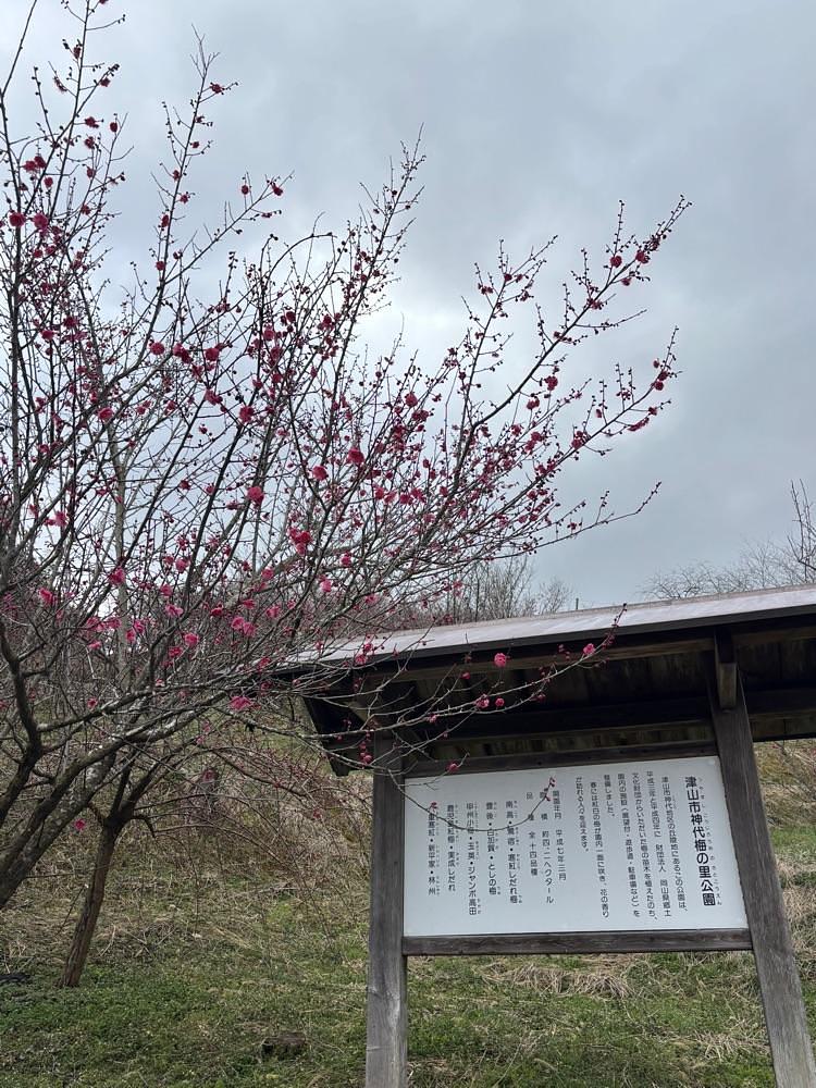 みーなさんが投稿した津山市神代 梅の里公園 売店に関する口コミの画像