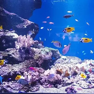 仙台うみの杜水族館フードコート