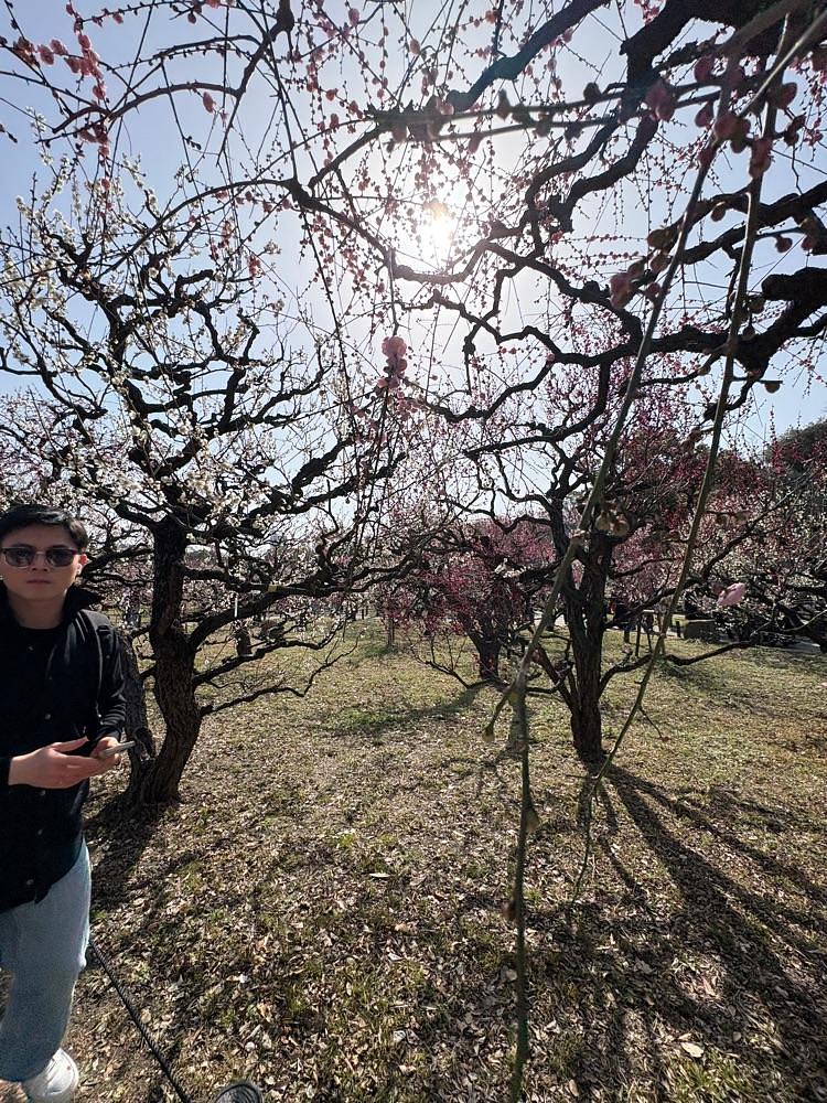 Danjouさんが投稿した大阪城に関する口コミの画像
