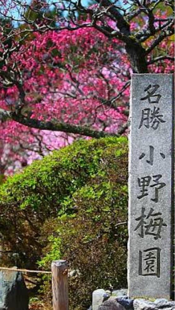 京都を巡る会・「武」さんが投稿した京都市営地下鉄東西線小野駅に関する口コミの画像
