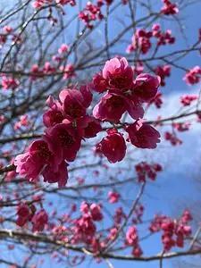 山梨県富士川クラフトパーク