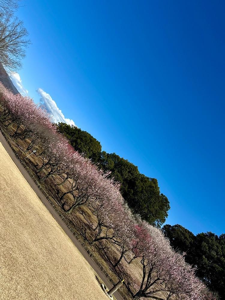 からっ風②さんが投稿した桐生市南公園に関する口コミの画像