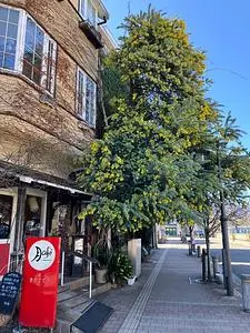 月Cafe（【旧店名：アダージッシモ】）