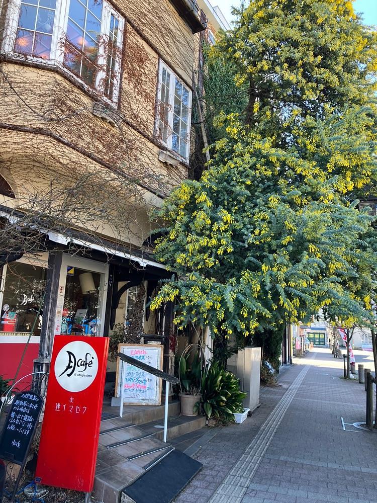 Nさんが投稿した月Cafe（【旧店名：アダージッシモ】）に関する口コミの画像