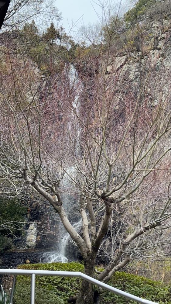 haruu harukuroさんが投稿した琴弾八幡宮に関する口コミの画像