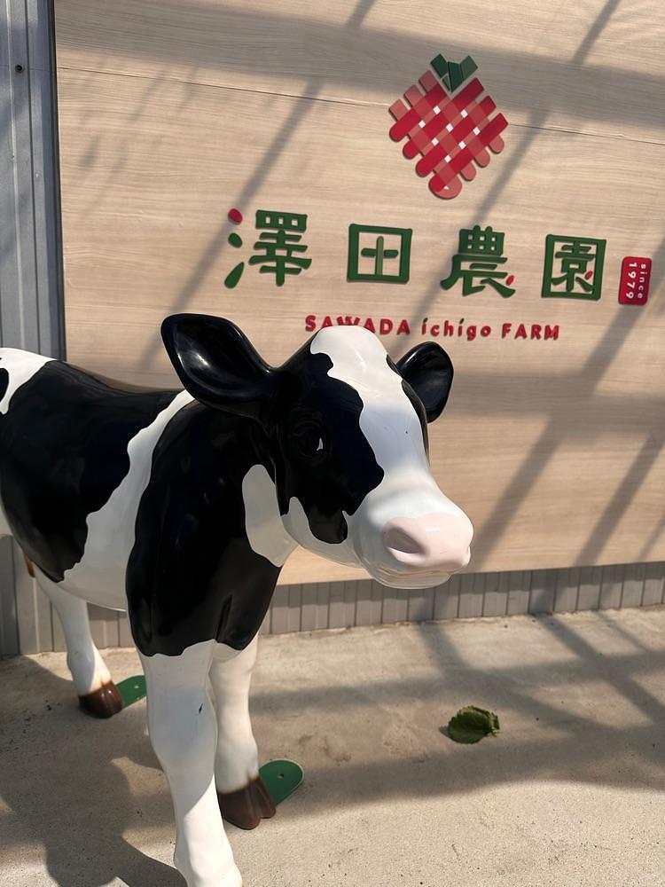 kuma.kuma_0325さんが投稿した澤田農園に関する口コミの画像