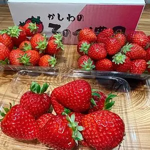 そのべ農園