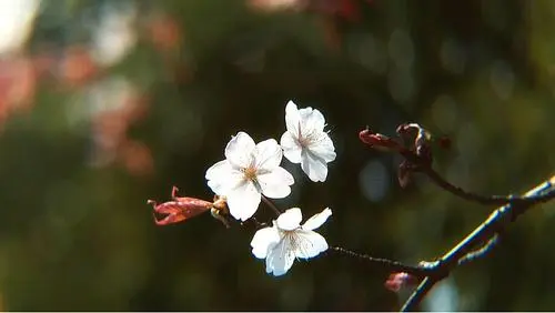 宮崎県総合文化公園
