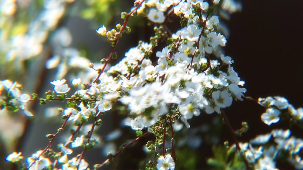 兎きち さんが投稿した宮崎県総合文化公園に関する口コミの画像