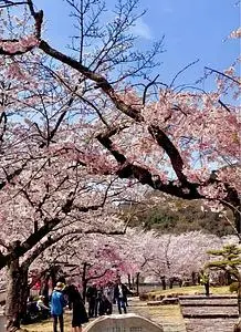 龍野城跡