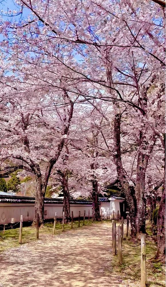 カランさんが投稿した龍野城跡に関する口コミの画像
