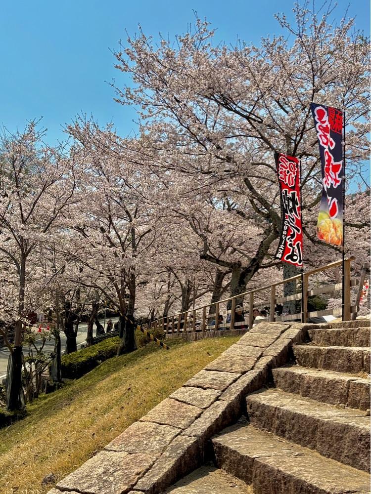 カランさんが投稿した龍野城跡に関する口コミの画像