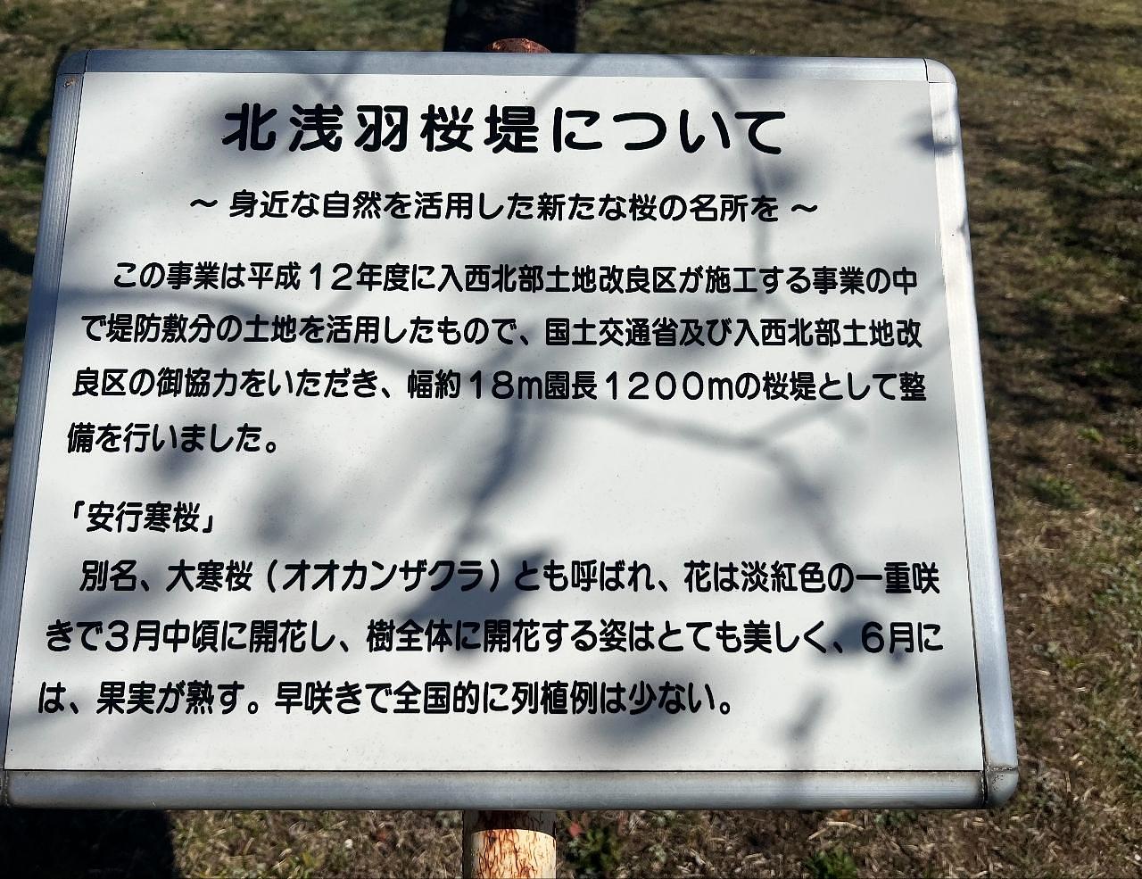 Pさんが投稿した北浅羽桜堤公園に関する口コミの画像