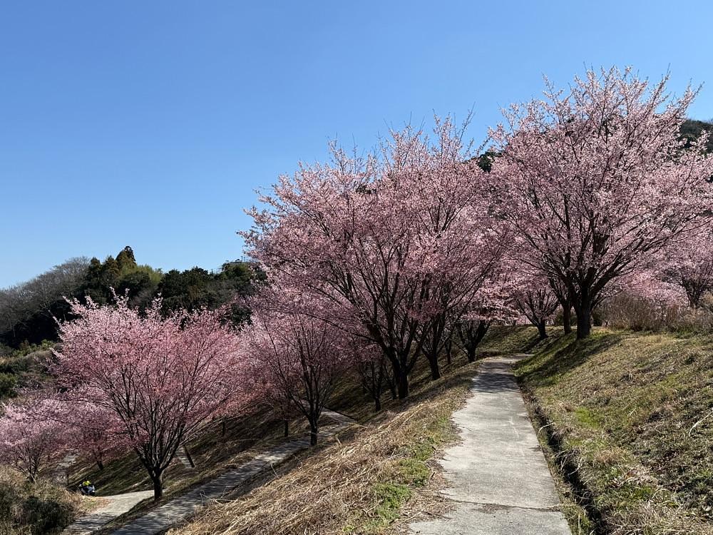 みぃさんが投稿した神山町に関する口コミの画像
