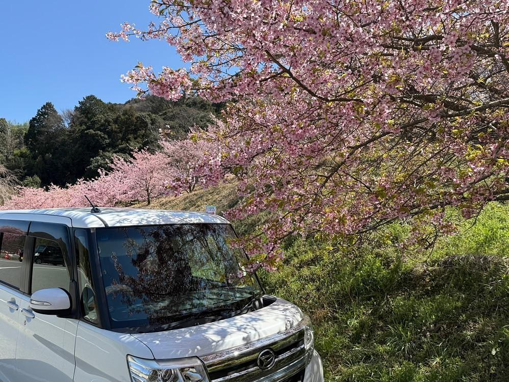 みぃさんが投稿した神山町に関する口コミの画像