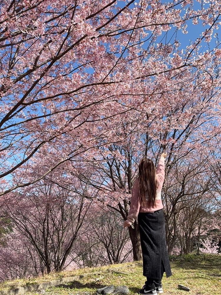 みぃさんが投稿した神山町に関する口コミの画像
