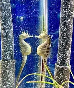 姫路市立水族館
