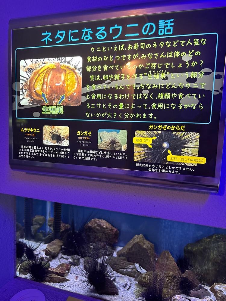 カランさんが投稿した姫路市立水族館に関する口コミの画像