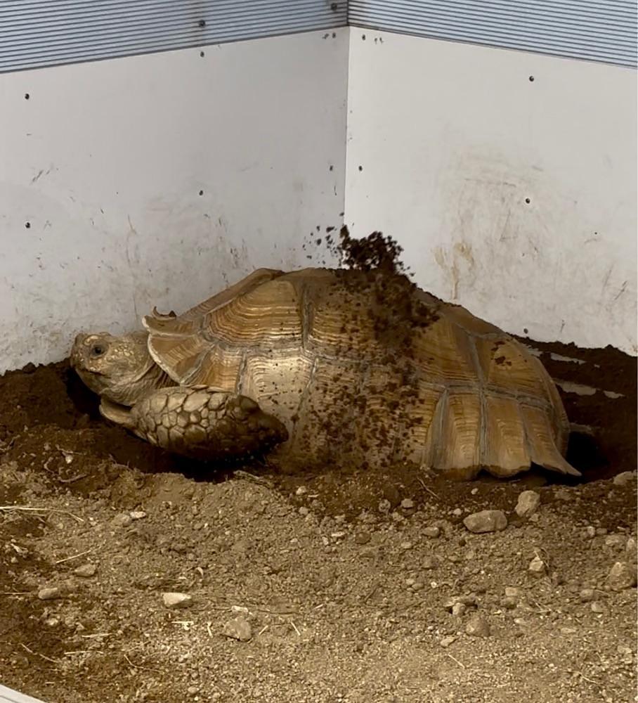 カランさんが投稿した姫路市立水族館に関する口コミの画像