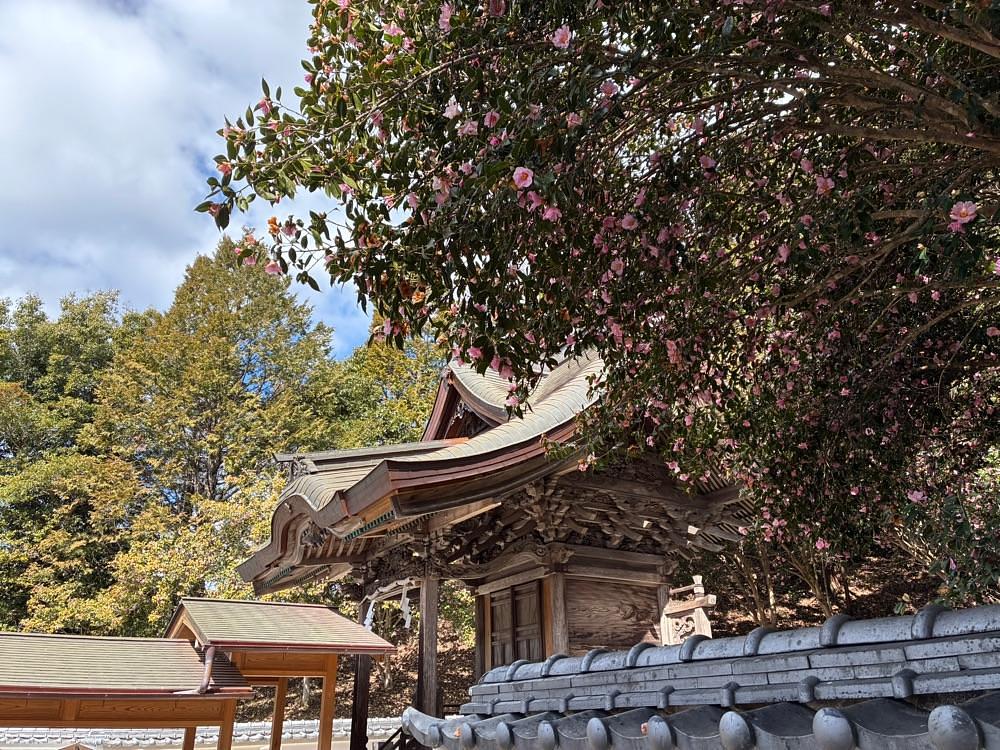 うーとらマンさんが投稿した和気神社に関する口コミの画像