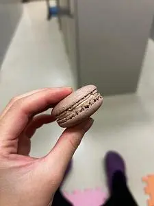 ナチュール シロモト 本店