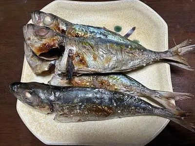 読谷村漁業協同組合（ヨミタンソンギョギョウキョウドウクミアイ）