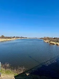 つつじが岡公園 梅林