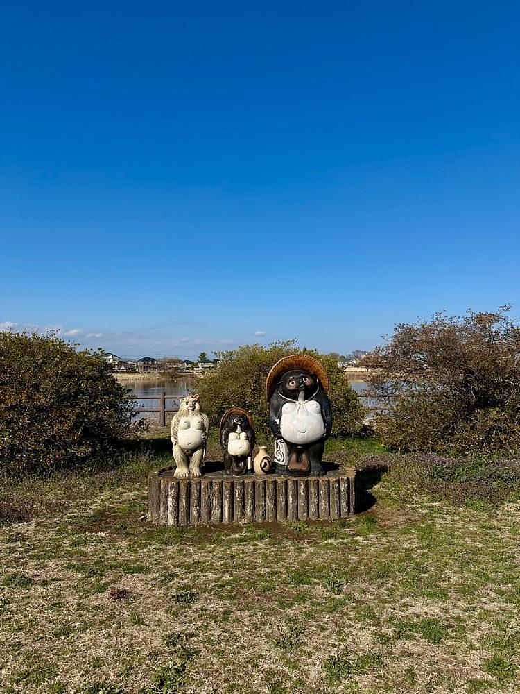 からっ風②さんが投稿したつつじが岡公園 梅林に関する口コミの画像