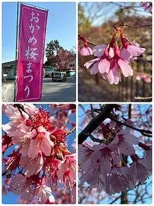 ＪＲ根府川駅