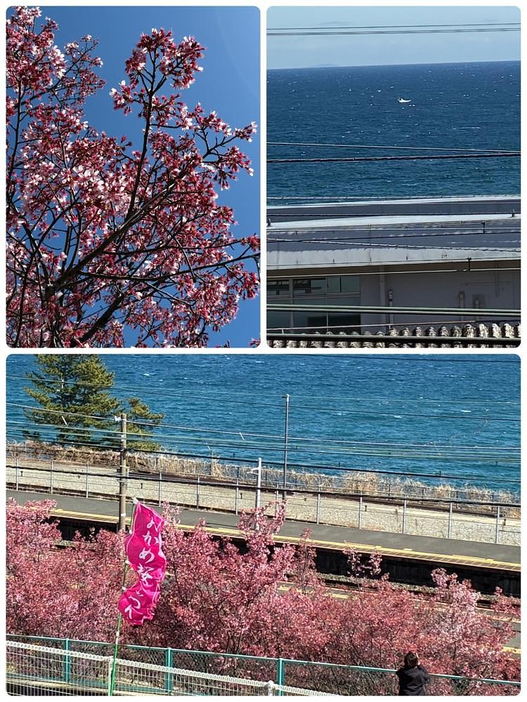 deriさんが投稿したＪＲ根府川駅に関する口コミの画像