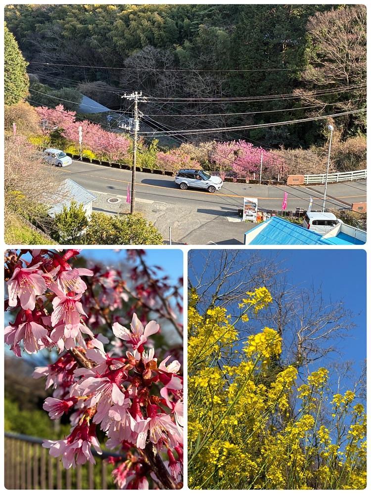 deriさんが投稿したＪＲ根府川駅に関する口コミの画像