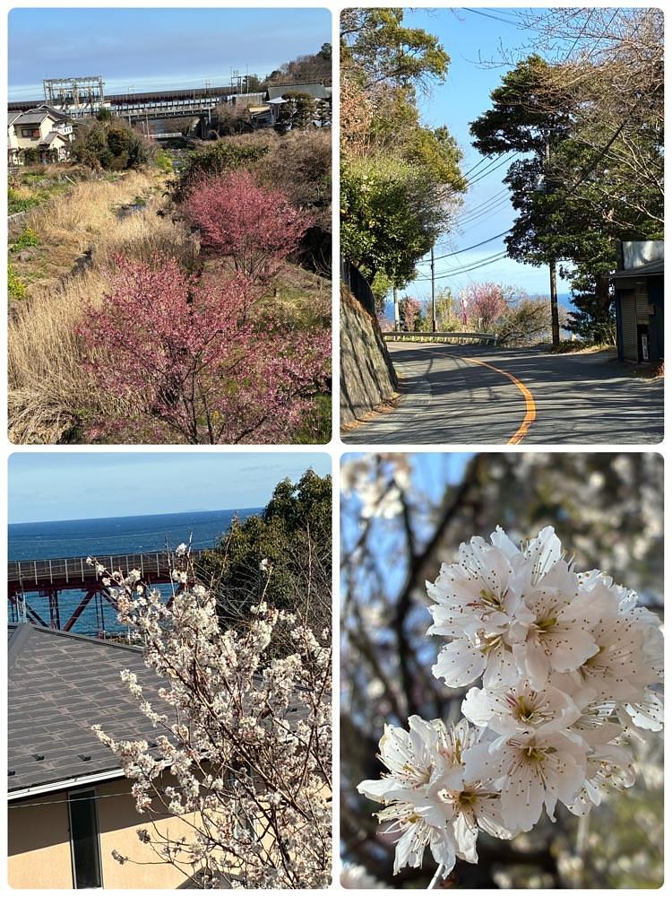 deriさんが投稿したＪＲ根府川駅に関する口コミの画像