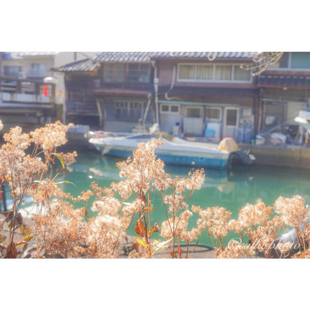 urban_garden_243aさんが投稿した吉原入江に関する口コミの画像