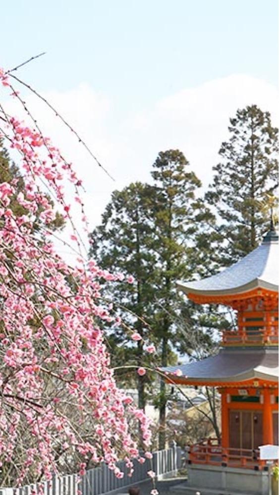京都を巡る会・「武」さんが投稿した正法寺に関する口コミの画像