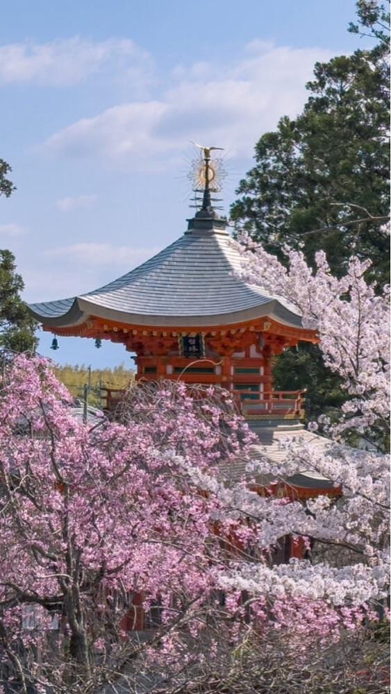 京都を巡る会・「武」さんが投稿した正法寺に関する口コミの画像