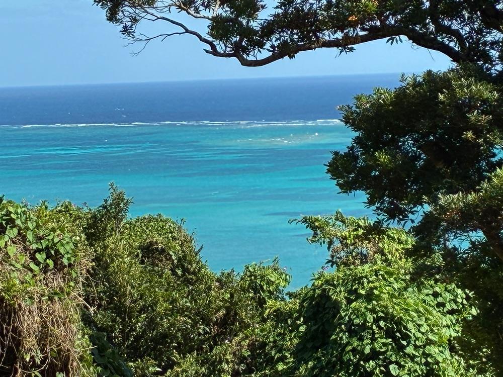 ゴンさんが投稿した垣花樋川に関する口コミの画像