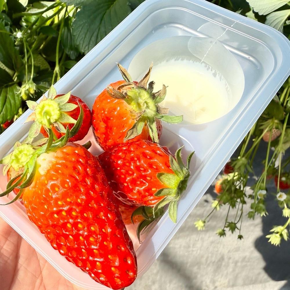 kaze_gourmetさんが投稿したホヤノいちご園に関する口コミの画像