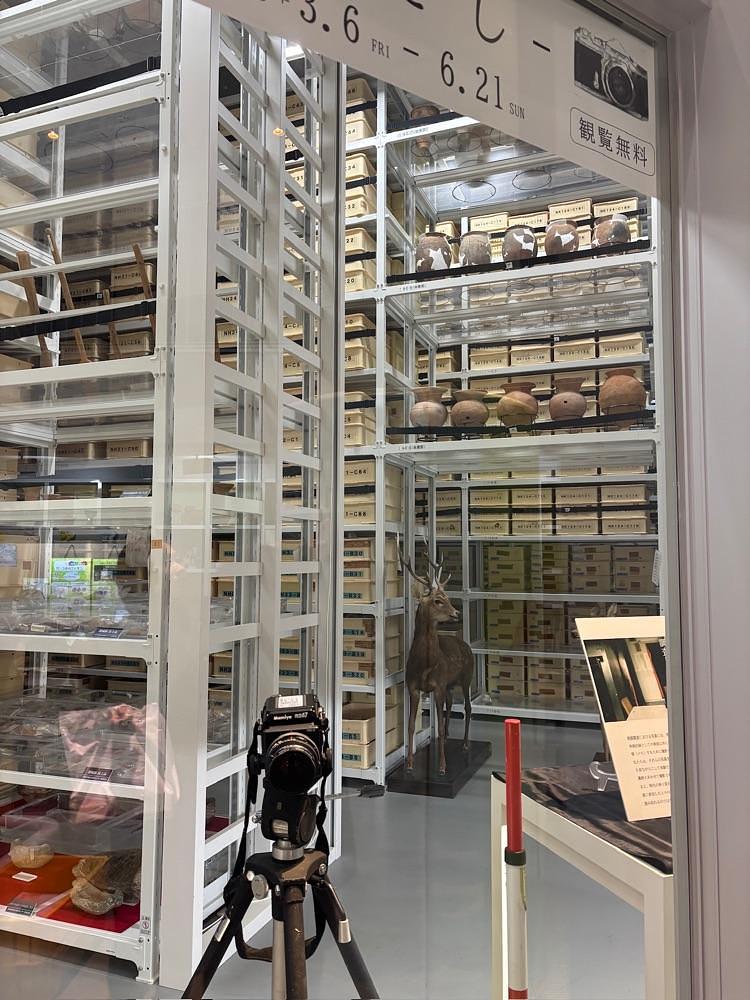 ライさんが投稿した一支国博物館に関する口コミの画像