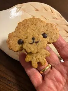 コカルド OBP店