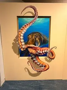 伊豆トリックアート迷宮館