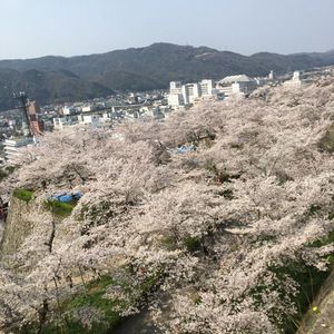津山城（鶴山公園） 3枚目
