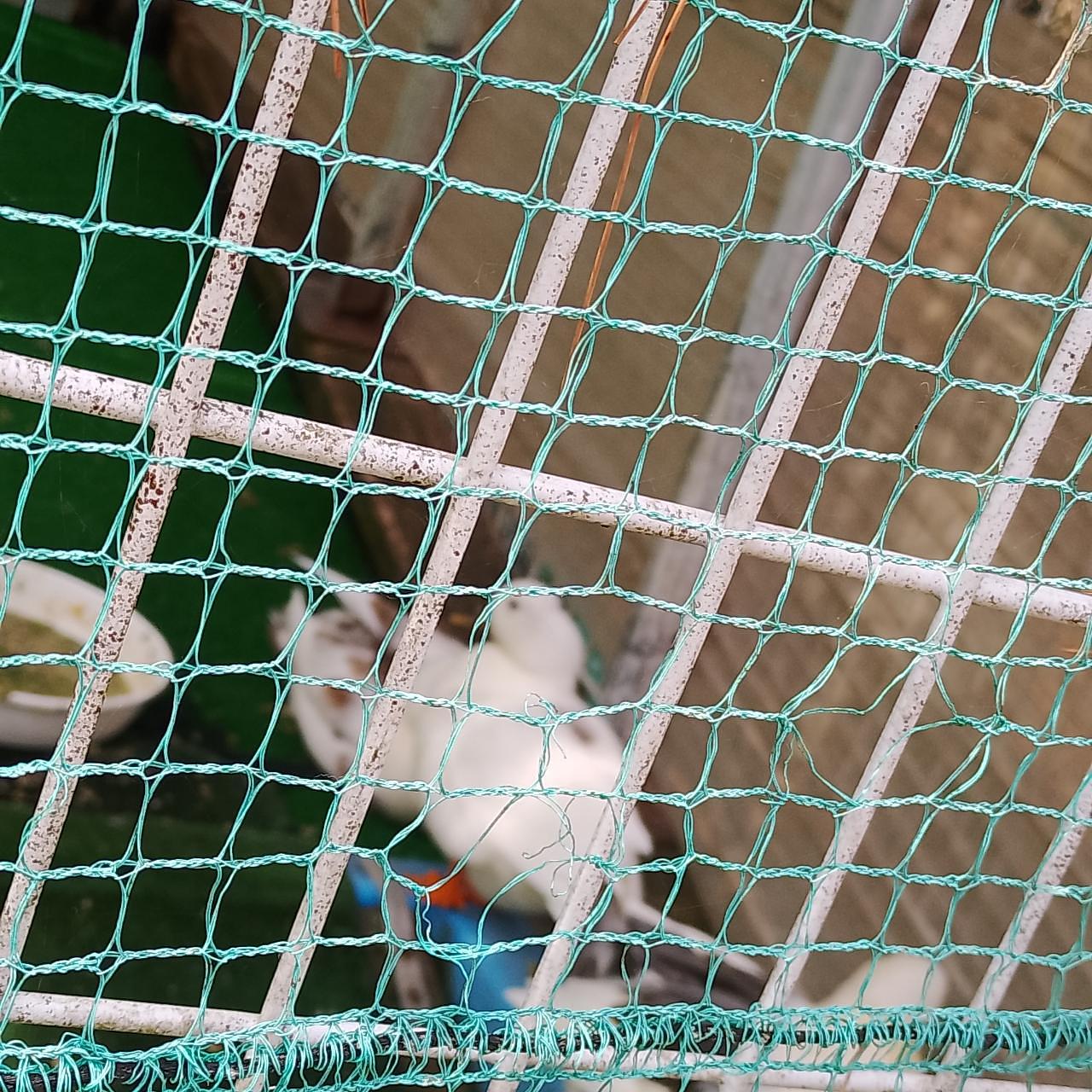 のんびりんこさんが投稿した庚申山ミニ動物園に関する口コミの画像